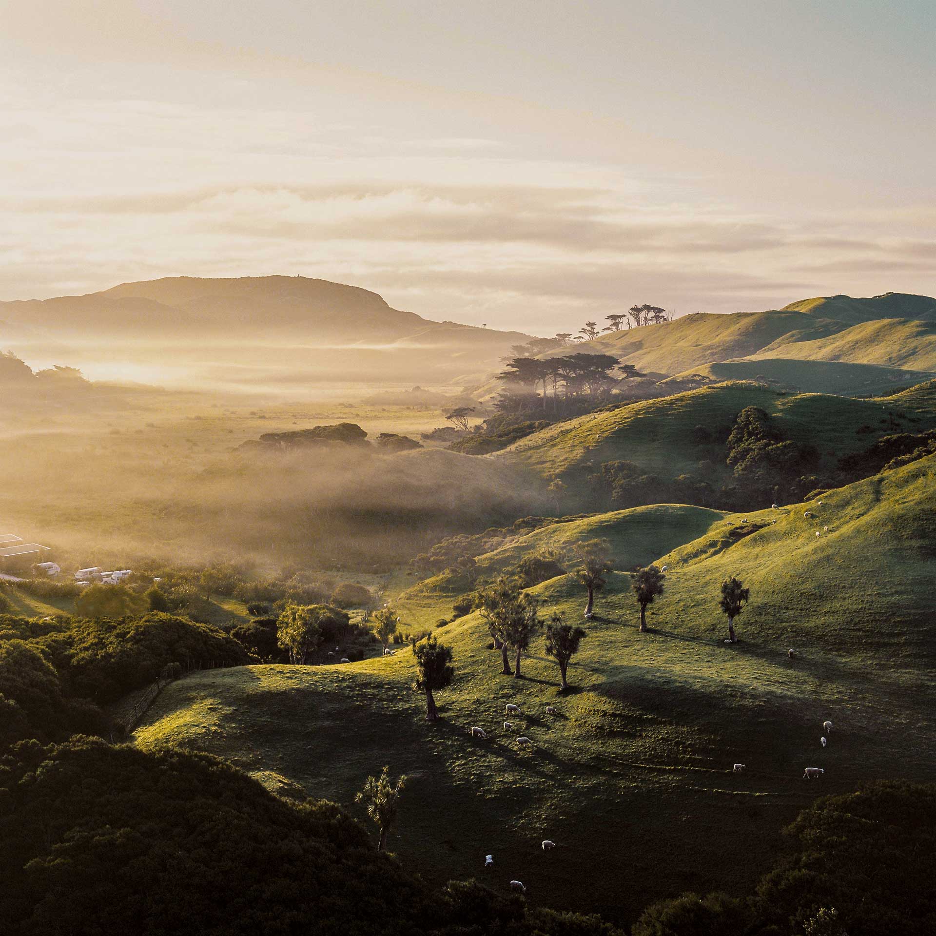 New Zealand Landscape and Kaimai Range