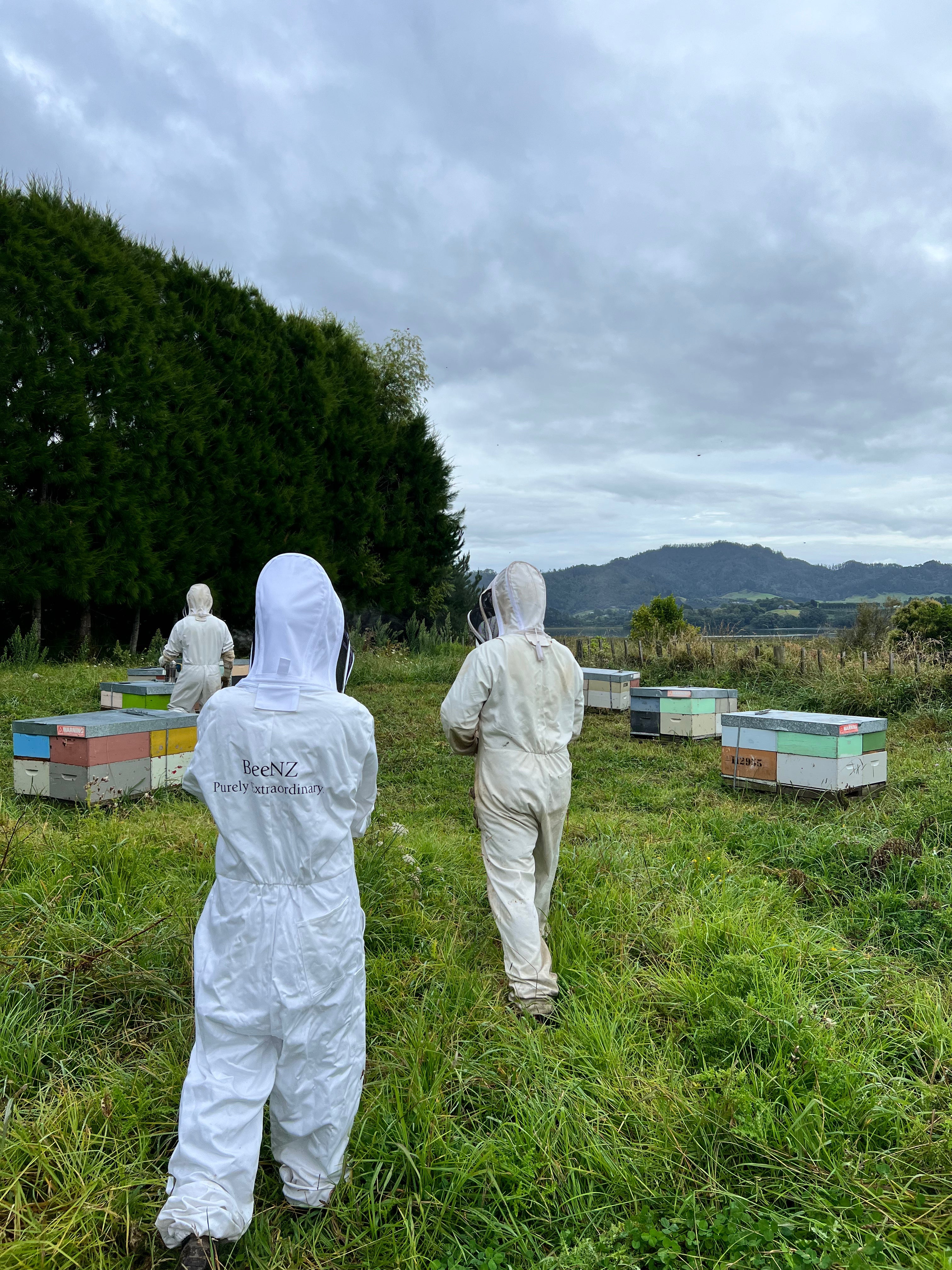 HoneyLab & BeeNZ: Export Breakthrough in NZ Mānuka Honey