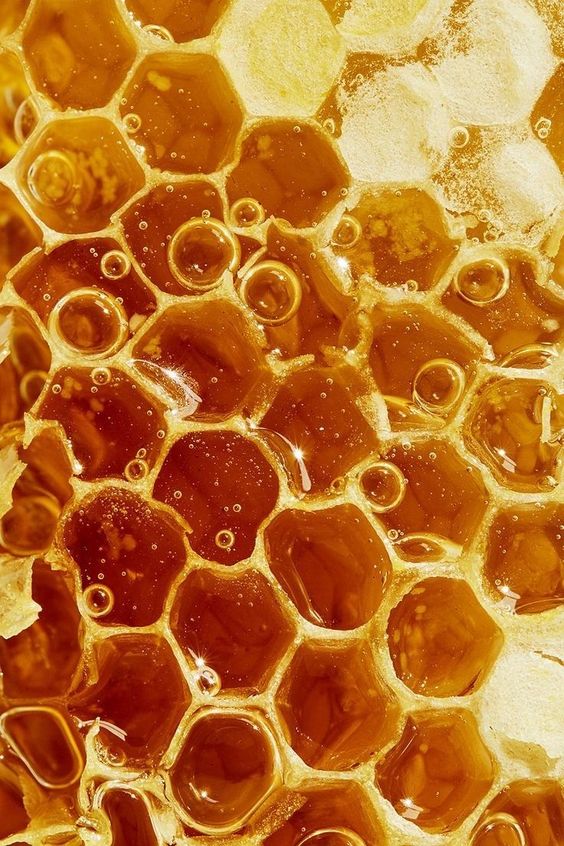 The Story and the Science of New Zealand Honey
