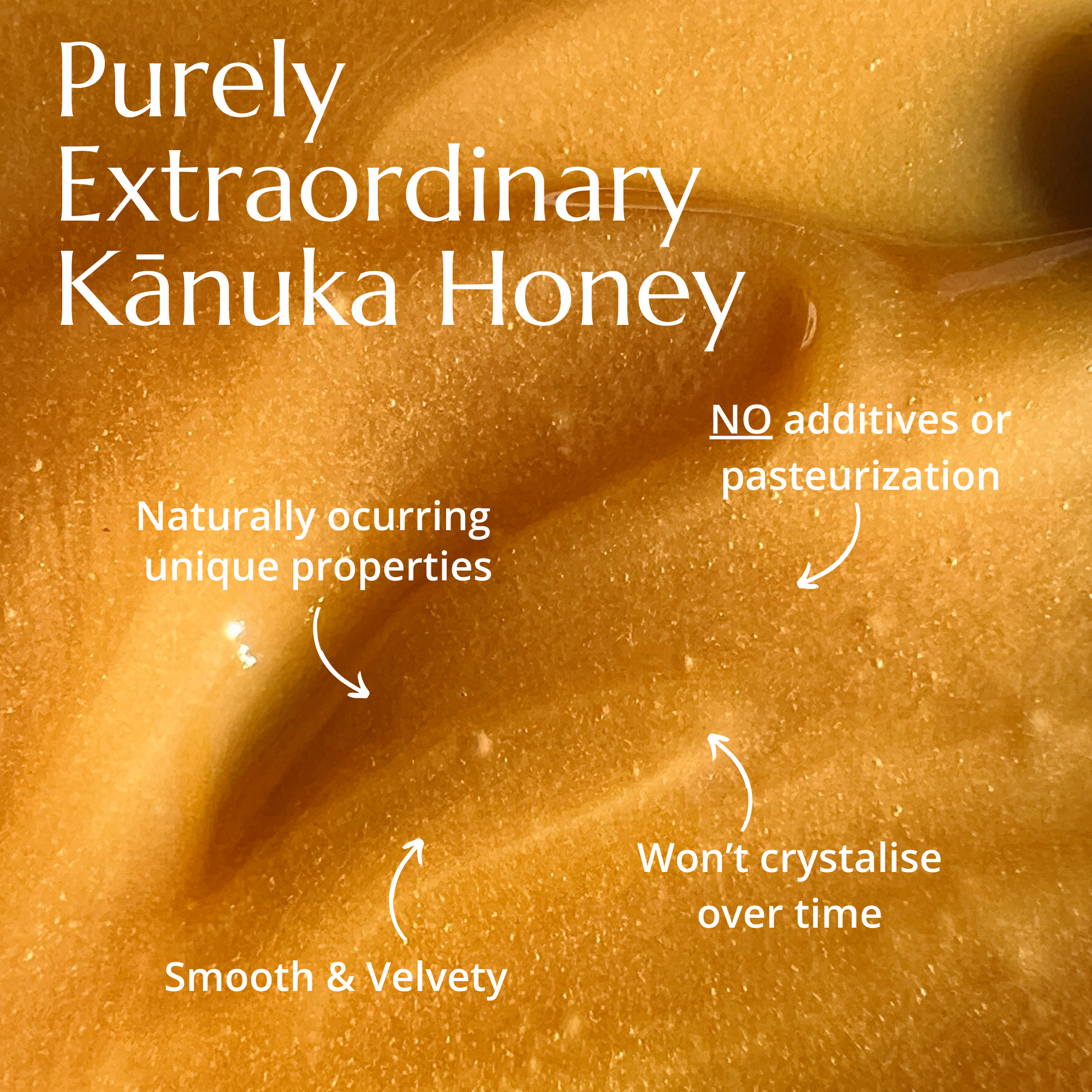 Kanuka Honey
