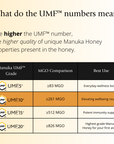 BeeNZ UMF10+ Manuka Honey (MGO 261+)