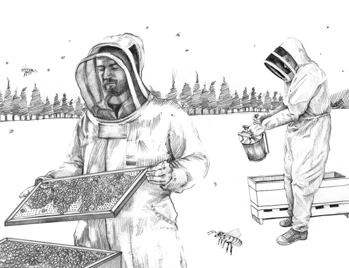 Beenz Beekeeper drawing.jpg__PID:ab7776ce-2f3c-42d6-9832-7ae23f3a6df8